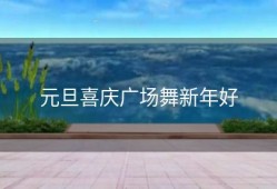 元旦喜庆广场舞新年好