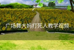 广场舞大妈打死人教学视频