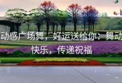 动感广场舞，好运送给你：舞动快乐，传递祝福