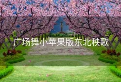 广场舞小苹果版东北秧歌