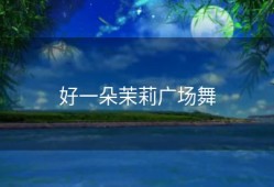 好一朵茉莉广场舞