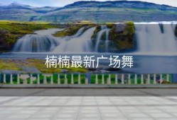 楠楠最新广场舞