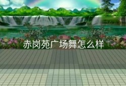 赤岗苑广场舞怎么样