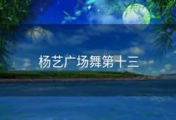 杨艺广场舞第十三