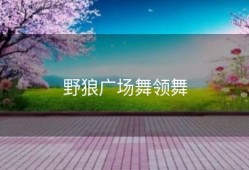 野狼广场舞领舞