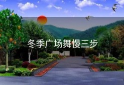 冬季广场舞慢三步