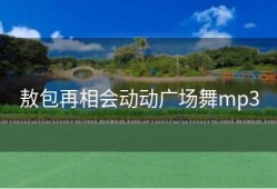 敖包再相会动动广场舞mp3