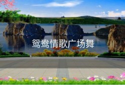 鸳鸯情歌广场舞