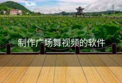 制作广场舞视频的软件