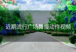 近期流行广场舞慢动作视频