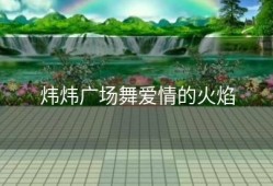 炜炜广场舞爱情的火焰