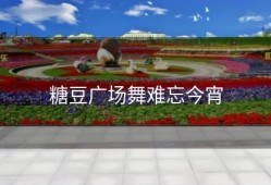 糖豆广场舞难忘今宵