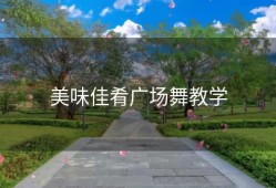 美味佳肴广场舞教学