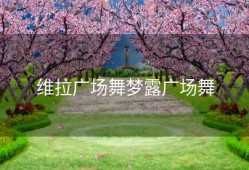 维拉广场舞梦露广场舞