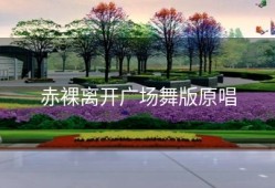 赤裸离开广场舞版原唱