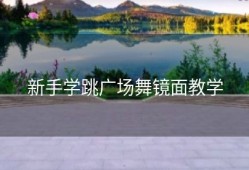 新手学跳广场舞镜面教学