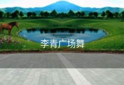 李青广场舞