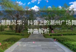 潮舞风华：抖音上的潮州广场舞神曲解析