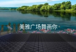 美雅广场舞画你