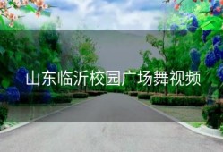 山东临沂校园广场舞视频
