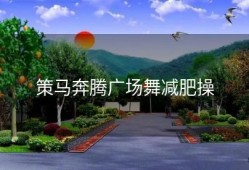 策马奔腾广场舞减肥操