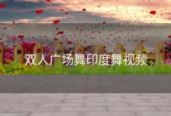 双人广场舞印度舞视频