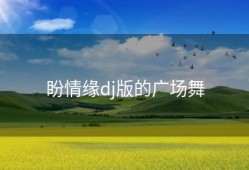 盼情缘dj版的广场舞