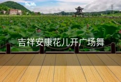 吉祥安康花儿开广场舞