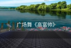 广场舞《高富帅》