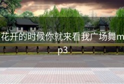 花开的时候你就来看我广场舞mp3