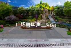 广场舞叫声二奶奶