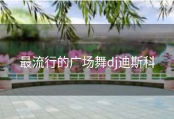 最流行的广场舞dj迪斯科