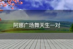 阿娜广场舞天生一对