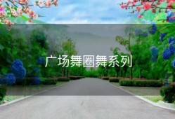 广场舞圈舞系列