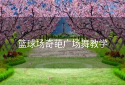 篮球场奇葩广场舞教学