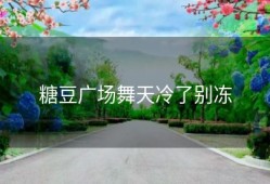 糖豆广场舞天冷了别冻