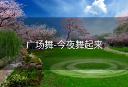 广场舞-今夜舞起来