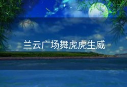 兰云广场舞虎虎生威