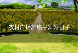 农村广场舞扇子舞好日子