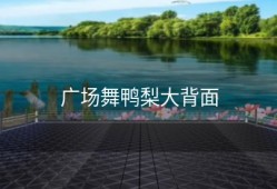 广场舞鸭梨大背面