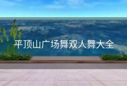 平顶山广场舞双人舞大全