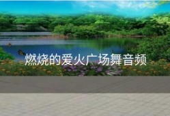 燃烧的爱火广场舞音频