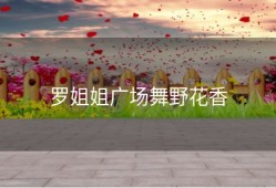 罗姐姐广场舞野花香