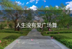 人生没有爱广场舞