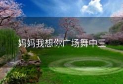 妈妈我想你广场舞中三