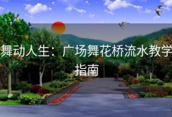 舞动人生：广场舞花桥流水教学指南