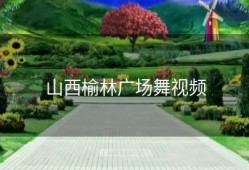 山西榆林广场舞视频