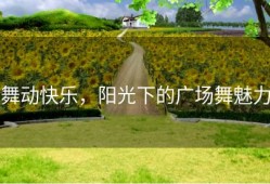 舞动快乐，阳光下的广场舞魅力