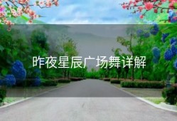 昨夜星辰广场舞详解