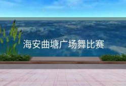 海安曲塘广场舞比赛